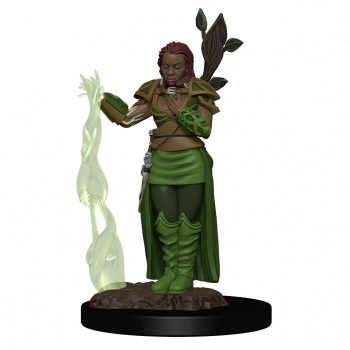 DnD - Human Druid Female v2 - Icons of the Realms Premium DnD Figur 